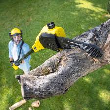 Best Lawn Pest Prevention  in Wayne, IL